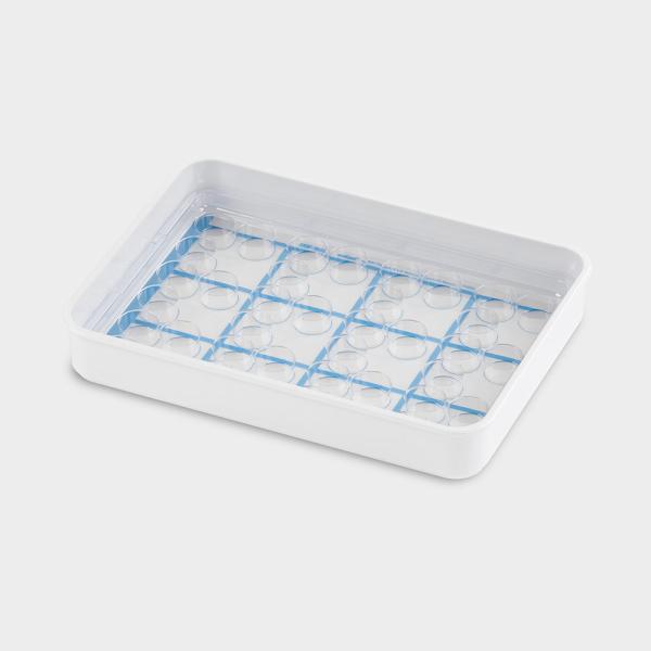 Melipul Becher-Tablett 12x3-35